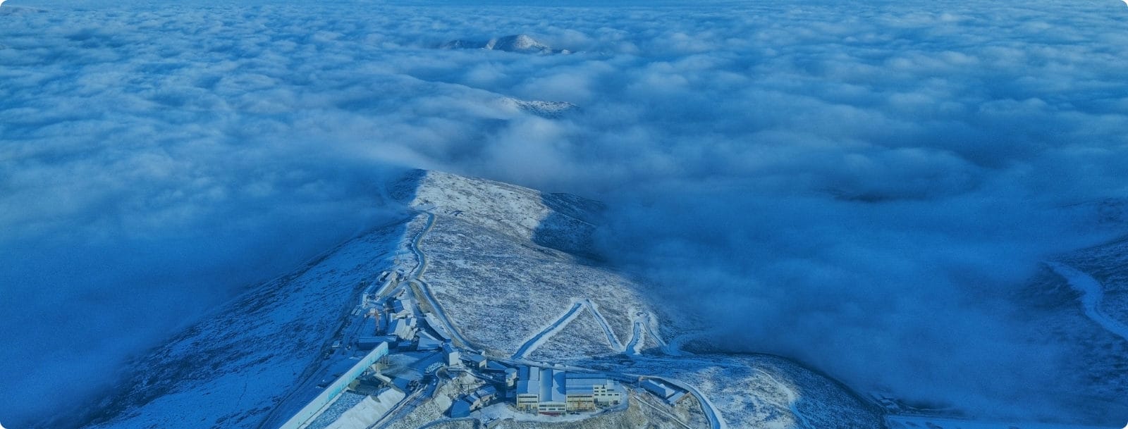 生长愿景