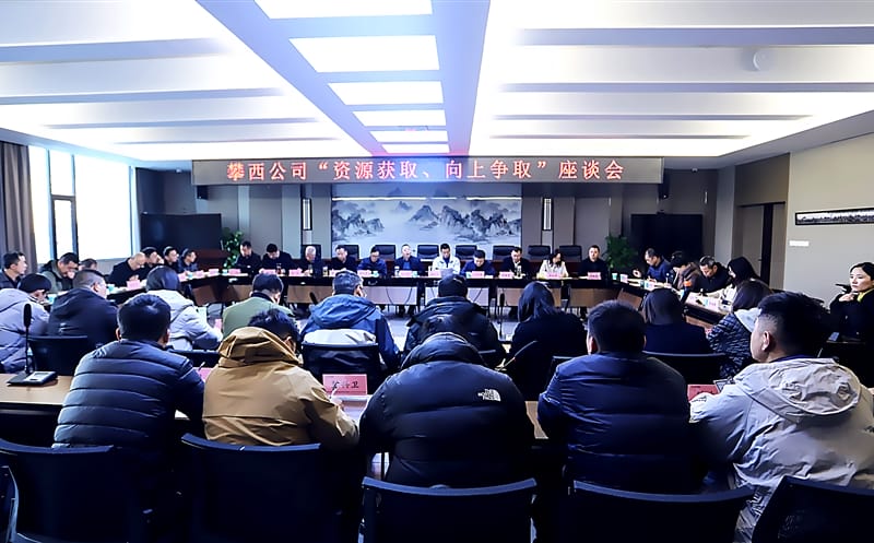 攀西公司召开“凯时凯时首页获取、向上争取”座谈会