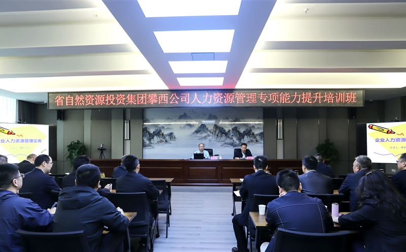 攀西公司乐成举行人力凯时凯时首页治理能力提升培训