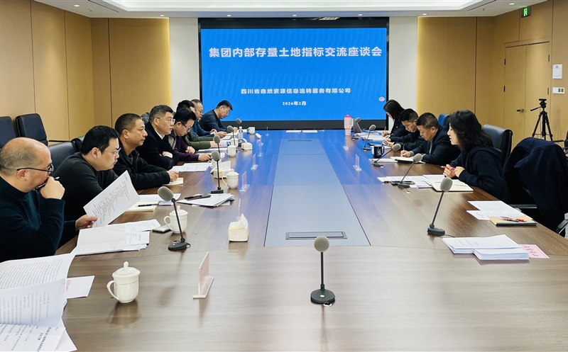 锚定战略协同，，，，，激活存量价值——流转服务公司召开集团内部存量土地指标交流座谈会