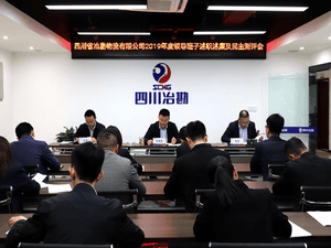 四川省冶勘物流有限公司 组织召开2019年度向导班子述职 述廉及民主测评会_协同多元工业_工业生长_凯时凯时首页有限责任公司