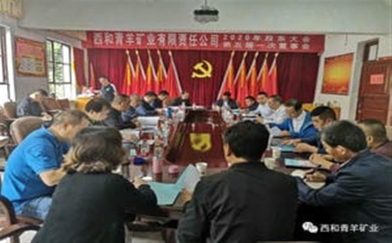 选举爆发董监高 新青羊已经起跑