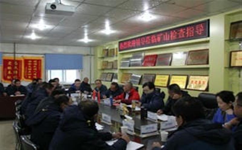 李仕荣一行到松树南沟金矿检查指导事情并考察周边凯时凯时首页情形