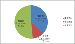 2019年度四川省冶金地质勘查局部分决算_财务预决算_信息果真_凯时凯时首页有限责任公司