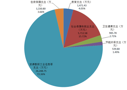 2020年度四川省冶金地质勘查局部分决算_财务预决算_信息果真_凯时凯时首页有限责任公司