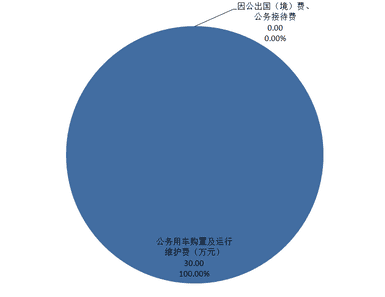 2020年度四川省冶金地质勘查局部分决算_财务预决算_信息果真_凯时凯时首页有限责任公司