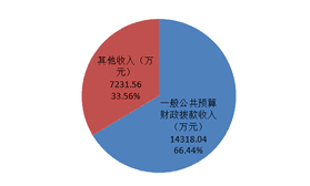 2020年度四川省冶金地质勘查局机关单位决算_财务预决算_信息果真_凯时凯时首页有限责任公司