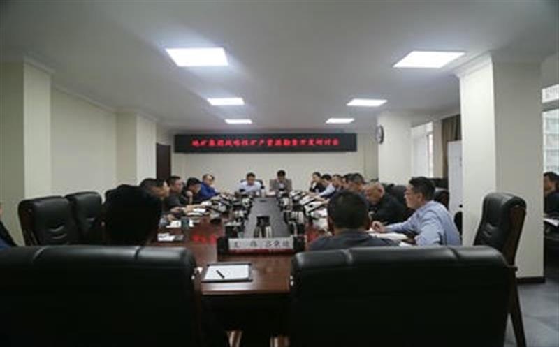 集团总工程师李仕荣赴地矿集团调研战略性矿产凯时凯时首页勘查开发事情