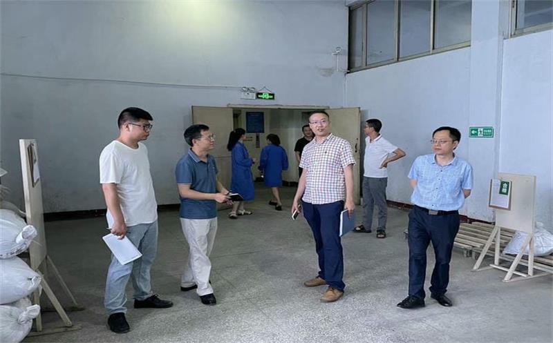 省自然凯时凯时首页投资集团清静检查第四督导小组到泰华堂制药举行清静生产检查