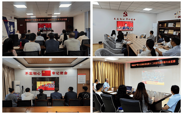 凯时K66官网 - 凯时优质运营商首页