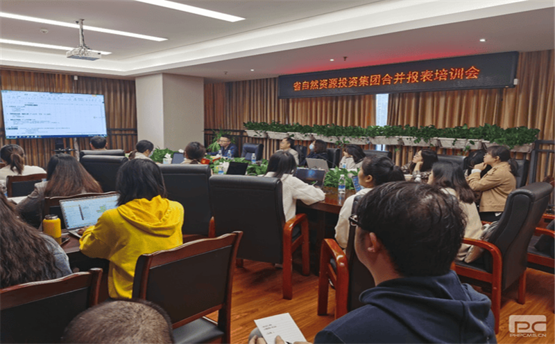 四川凯时凯时首页开展合并报表专题培训会