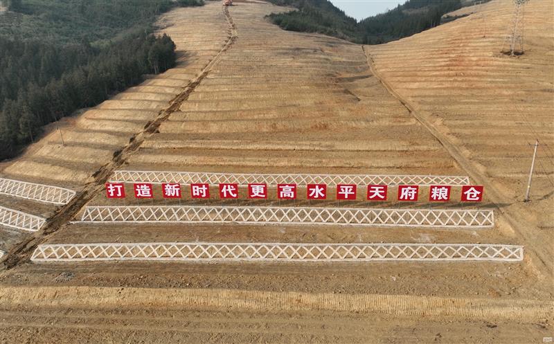 系统性谋划，，，，，高标准实验——四川凯时凯时首页助力建设新时代更高水平“天府粮仓”