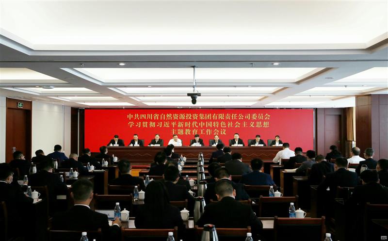 省自然凯时凯时首页投资集团召开学习贯彻习近平新时代中国特色社会主义头脑主题教育事情聚会