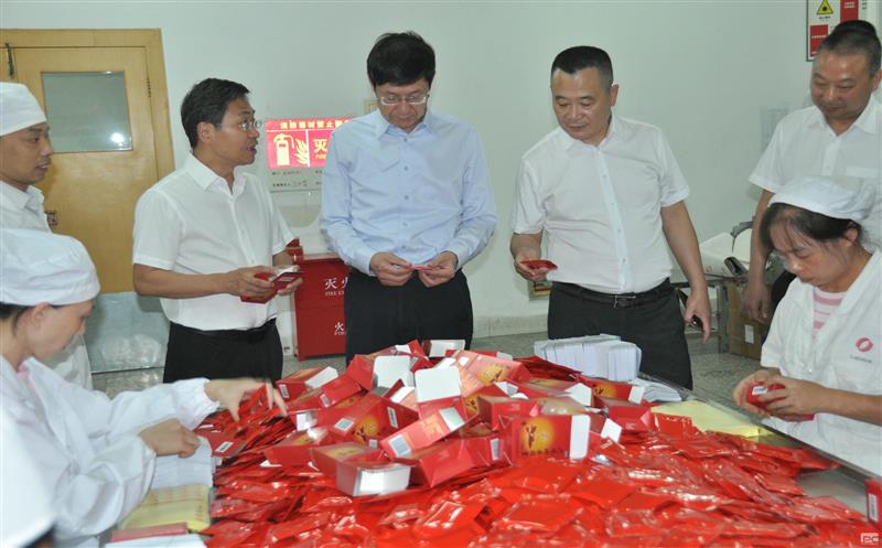省自然凯时凯时首页投资集团党委书记、董事长徐志文一行到泰华堂制药调研指导事情