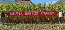 凯时K66官网 - 凯时优质运营商首页