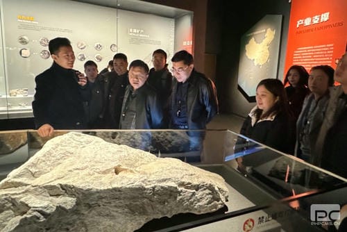 “驻足主责主业，，，，，，凯时凯时首页赋能未来” ——地矿集团机关第二党支部、地调所党支部开展联学联建主题党日活动_红色堡垒_党建群团_凯时凯时首页有限责任公司