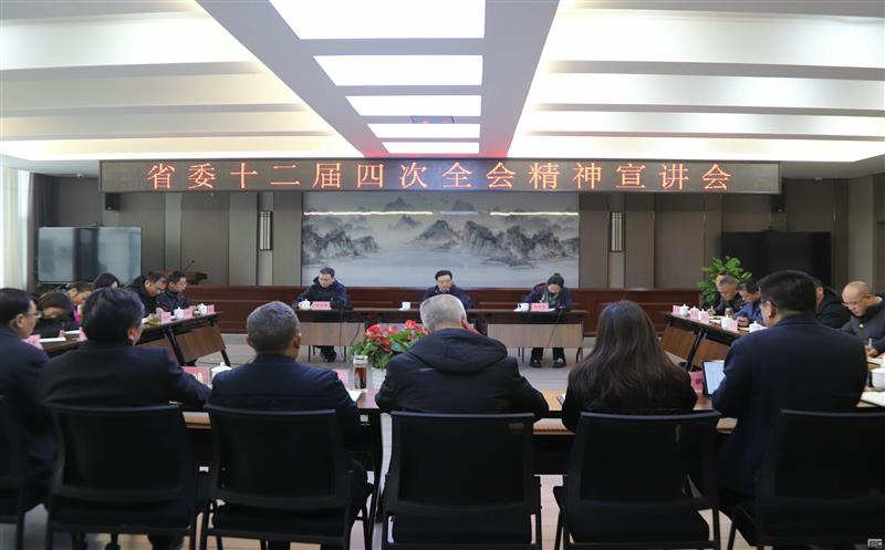 集团向导赴攀西公司宣讲省委 十二届四次全会精神，，，，并开展春节送温暖活动