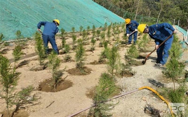 和地矿业开展“天下地球日”植树活动