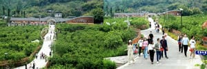 凯时K66官网 - 凯时优质运营商首页