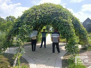 凯时K66官网 - 凯时优质运营商首页