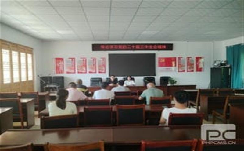 学习党的二十届三中全会精神，，，，，华锋钻探助力墟落振兴新征程