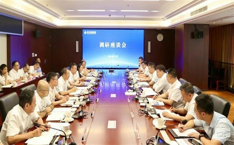 集团向导调研部分新组建企业