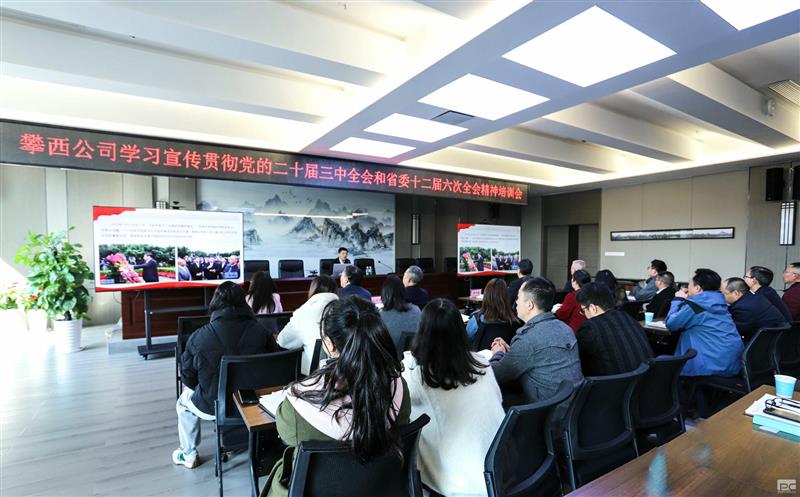 攀西公司举行学习宣传贯彻党的二十届三中全会和省委十二届六次全会精神暨党务干部培训会